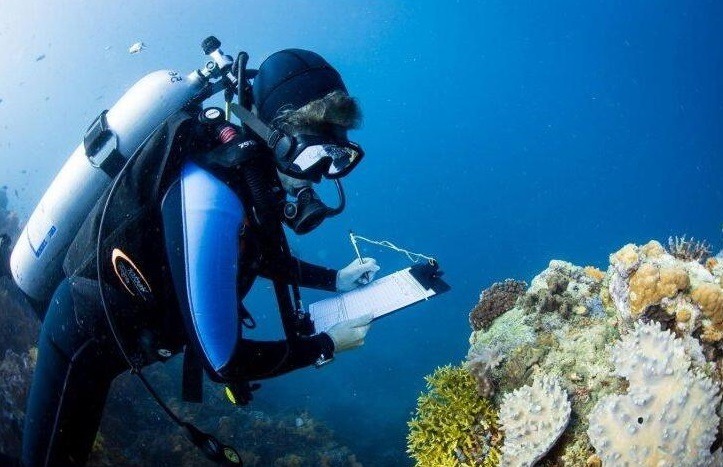 исследование глубин океана